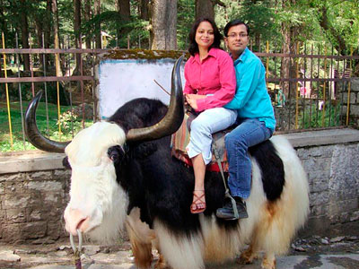 Incredible Uttarakhand Lansdowne-Ranikhet-Kausani Tour