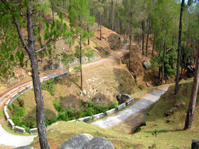 Incredible Uttarakhand Lansdowne-Ranikhet-Kausani Tour