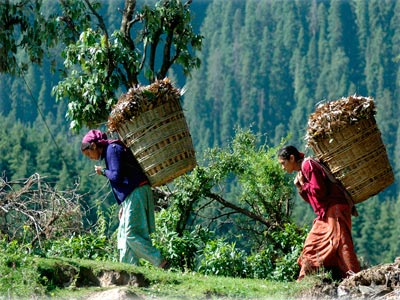 Best Peaceful Family Holiday In Darjeeling With Pelling Package