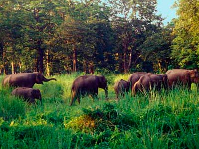 Fantastic North East Darjeeling And Gangtok Family Tour 