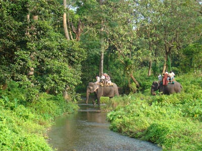 Relaxing With Family In Darjeeling With Pelling And Gangtok Tour