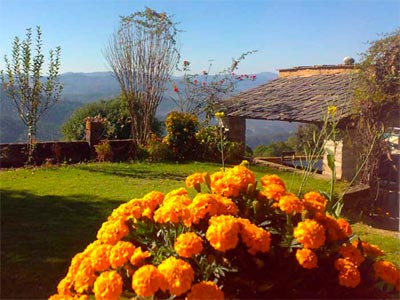 Beautiful Binsar Uttarakhand Tour Package Of Camping   
