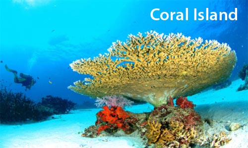 Port Blair Family Package