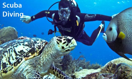 Port Blair Family Package