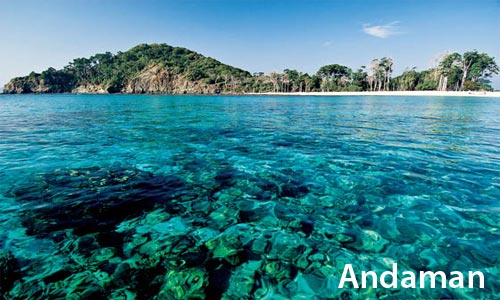 Premium Budget Tour Package Of Port Blair With Jolly Buoy Island For Groups 