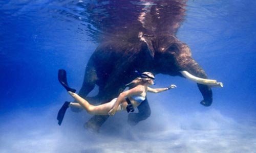 Premium Budget Tour Package Of Port Blair With Jolly Buoy Island For Groups 