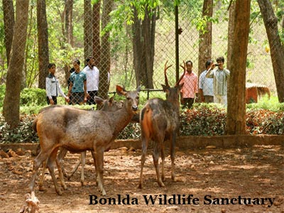 Exotic Super Deluxe Goa Honeymoon Tour Package For Couples