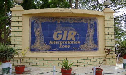 Top Package To Visit The Home Of Asiatic Lion At Sasangir Gujarat With Friends