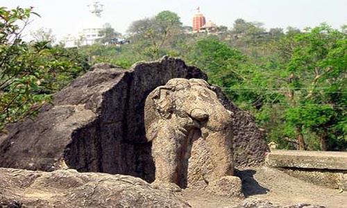 Top Package To Visit The Home Of Asiatic Lion At Sasangir Gujarat With Friends