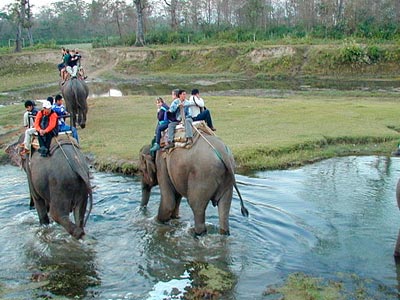 Flora & Fauna Of Unexplored Ranthambore Rajasthan Tour