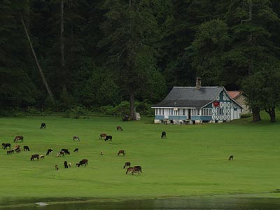 Amazing Amritsar With Delightful Dalhousie Dharamshala Package