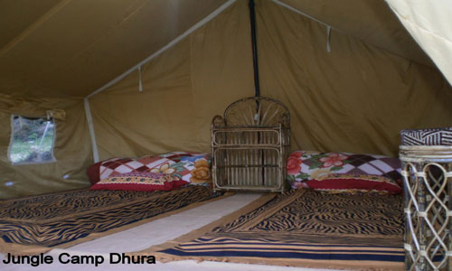 Enjoy In The Lap of Nature At Jungle Camp Tour