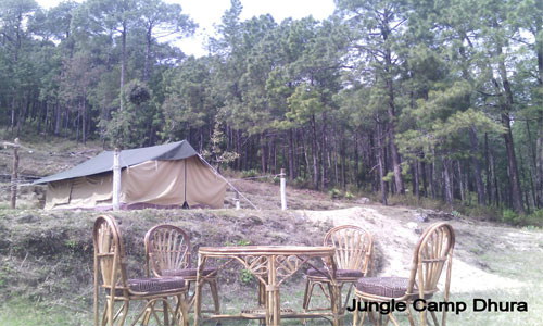 Enjoy In The Lap of Nature At Jungle Camp Tour