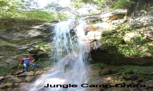 Enjoy In The Lap of Nature At Jungle Camp Tour