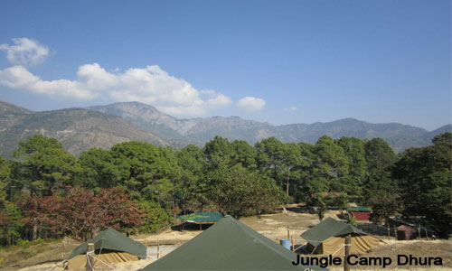 Enjoy In The Lap of Nature At Jungle Camp Tour