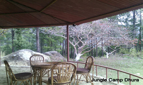 Enjoy In The Lap of Nature At Jungle Camp Tour