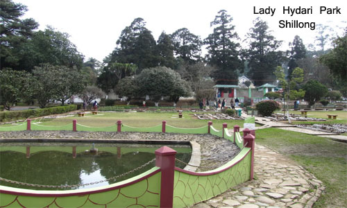 Best Group Package of North East For Shillong Cherrapunji Kaziranga And Guwahati Tour