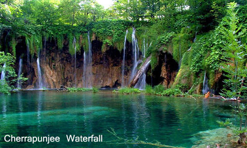 Best Group Package of North East For Shillong Cherrapunji Kaziranga And Guwahati Tour