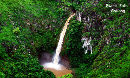 Best Group Package of North East For Shillong Cherrapunji Kaziranga And Guwahati Tour