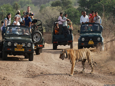 Best Couple Package Of Flora & Fauna Of Jim - Corbett