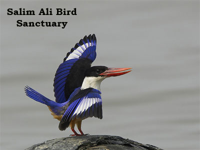 Tempting Goa Honeymoon Tour Package For Couples