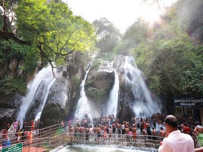 Budget Group Tour Package of Cochin and Gorgeous Munnar 