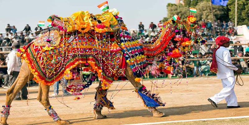 Golden Triangle Tour With Pushkar