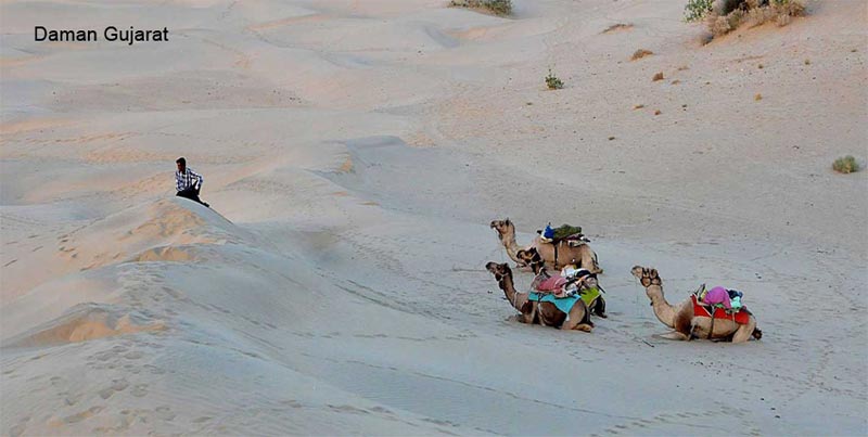 Gujarat Complete Budget Tour Package For Groups