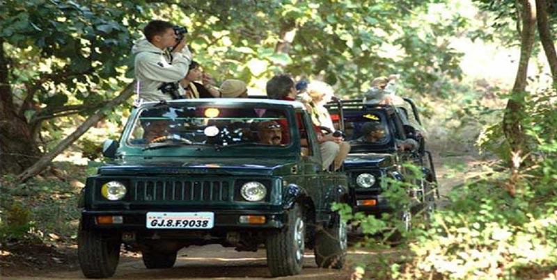 Gujarat Pilgrimage Tour With Wildlife Of Sasangir Package For Couples