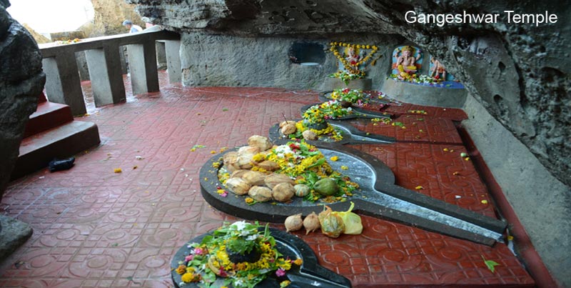 Gujarat Pilgrimage Tour With Wildlife Of Sasangir Package For Couples