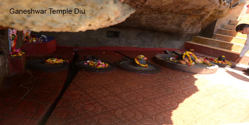 Best Group Package For Highlights Of Gujarat With Heritage Tour