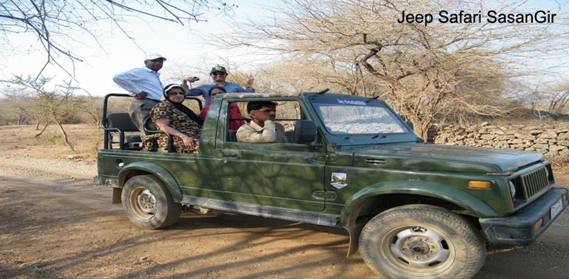 Visit To Home Of Asiatic Lion With Rann Of Kutch Tour Package For Couple