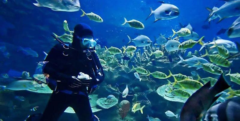 Romance in Mauritius Tour