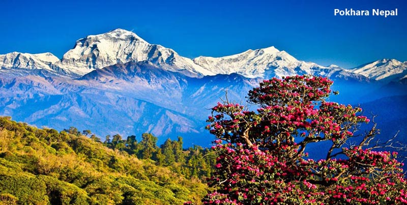 Perfect Tour To Kathmandu With Chitwan And Pokhara