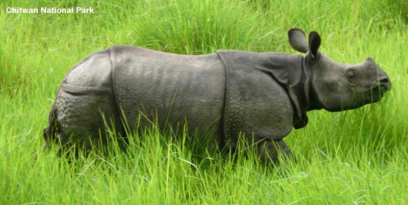 Perfect Tour To Kathmandu With Chitwan And Pokhara