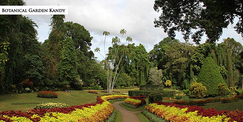 Best of Sri Lanka Tour