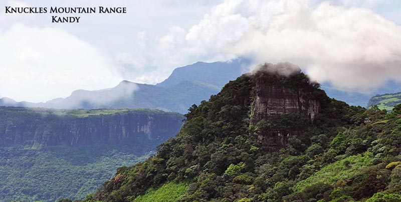 Best of Sri Lanka Tour