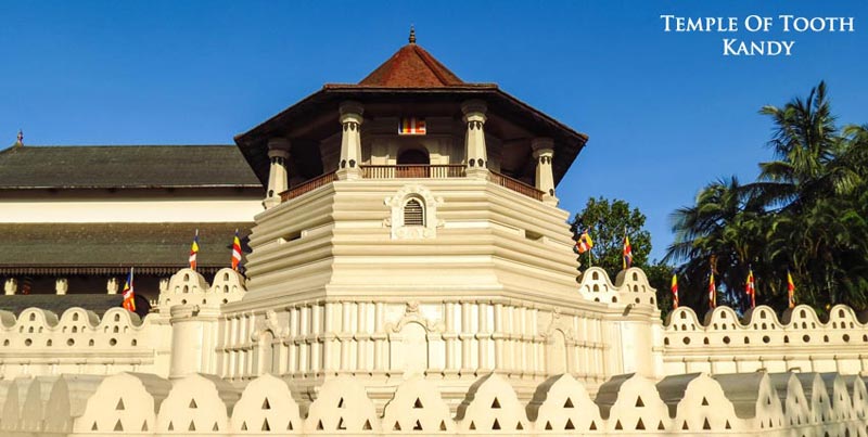 Wonder Of Asia Sri Lanka Trip