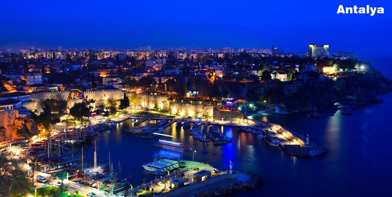 New Year Celebration Special Tour Package