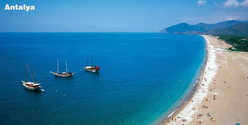 New Year Celebration Special Tour Package