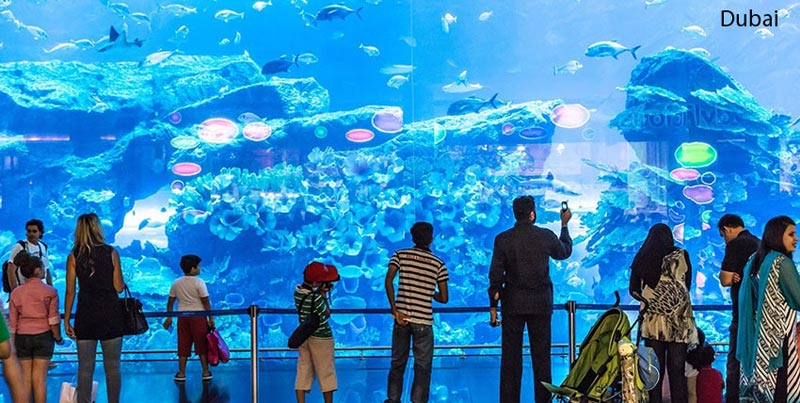 Wonderful Dubai Holiday Package