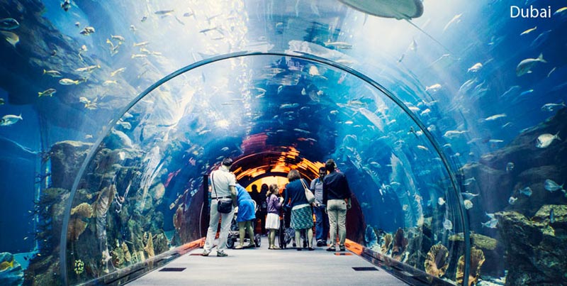 Dubai Best Seller Tour Package