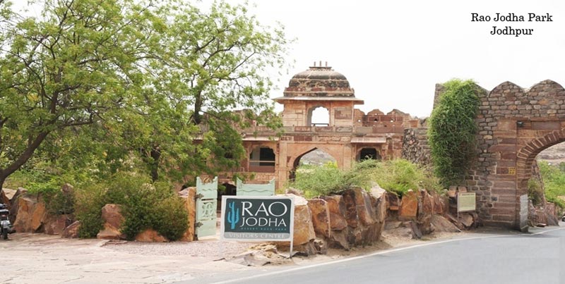 Tour Package Of Jodhpur Sun City Of Rajasthan