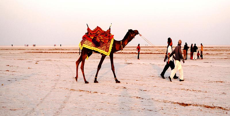 Best Of Kutch Rann Special Couple Tour With Bhuj And Mandvi Gujarat