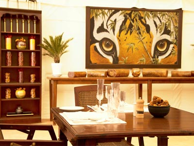 Lavish Nights Of Wildlife At Ranthambore Rajasthan Tour