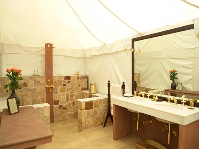 Lavish Nights Of Wildlife At Ranthambore Rajasthan Tour