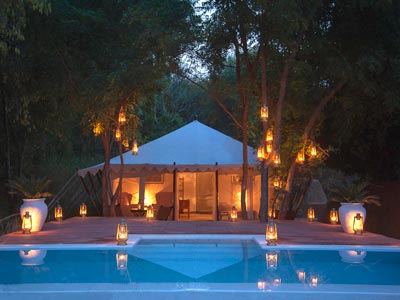 Lavish Nights Of Wildlife At Ranthambore Rajasthan Tour