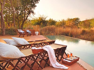 Lavish Nights Of Wildlife At Ranthambore Rajasthan Tour