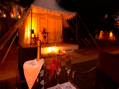 Lavish Nights Of Wildlife At Ranthambore Rajasthan Tour