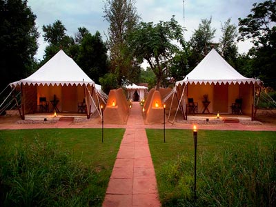 Lavish Nights Of Wildlife At Ranthambore Rajasthan Tour